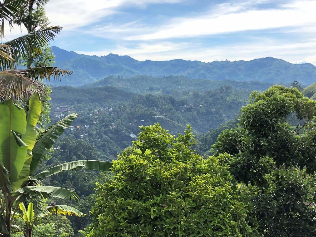 Bed and Breakfast Royal Mount Ella Esterno foto